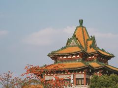 -顺峰山公园