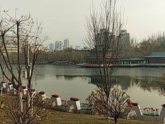-雁滩公园