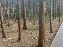 -同里国家湿地公园
