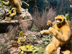 -陕西自然博物馆