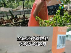 -成都市活水公园