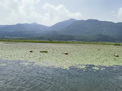 -腾冲北海湿地
