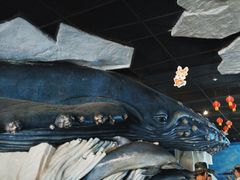 -大连老虎滩海洋公园