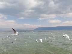 -大理洱海
