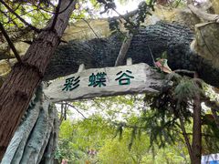 -天目湖山水园