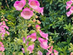 -文华公园(禅城区)