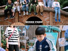 -HERRE·FARM 赫尔露营农场·团建聚会包场