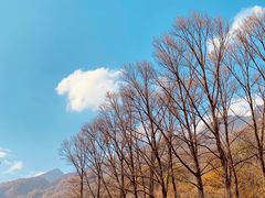 -牛背梁国家森林公园