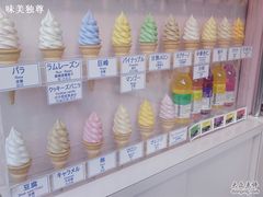琳琅满目的冰激凌口味-寺子屋本舗(浅草仲見世小町店)