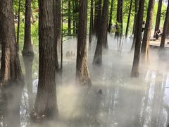 -东湖落雁景区