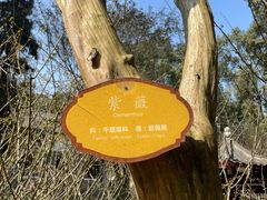 -重庆抗战遗址博物馆
