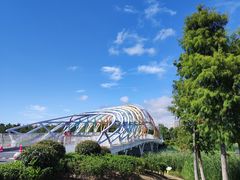 -南汇新城城市公园