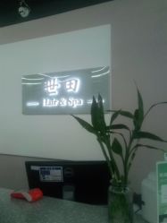 点击看大图 -世田造型