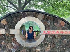 -王借岗森林公园