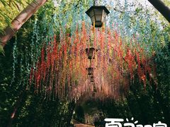 -郑州方特水上乐园