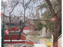 -香山公园
