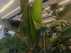 -中南财经政法大学(首义校区)