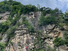 -青峰峡国家森林公园