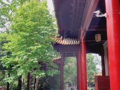 -明故宫遗址公园