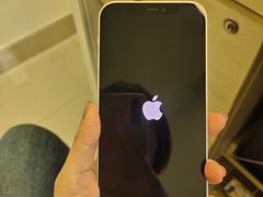 -Apple零售店(成都太古里店)