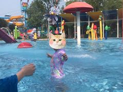 -苏州乐园森林水世界