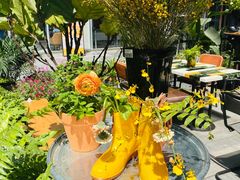 -PlantsEatery·植物食堂(REX春熙店)