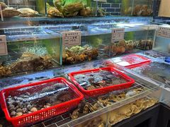 -南山酒肆(南山董事绘店)