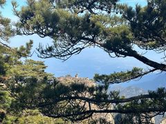-黄山风景区