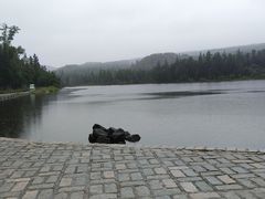 -五营红松林海景区