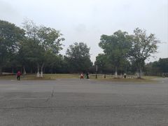 -盘龙城遗址博物院