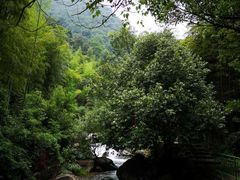 -众神白水涧景区