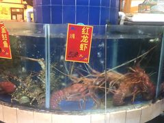 水产区-龙的酒楼·手工早茶·顺德菜(近良路店)