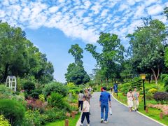 -东莞植物园