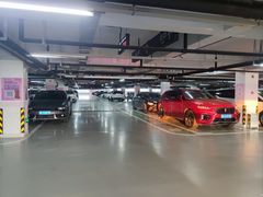 -上海海昌海洋公园-停车场