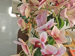 -施奈儿.洗头頭療.按摩SPA.采耳(上梅林店)