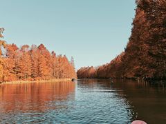 -上海海湾国家森林公园