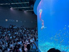 -合肥海洋世界