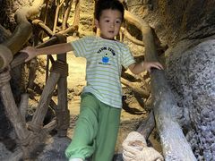 -江和美海洋公园