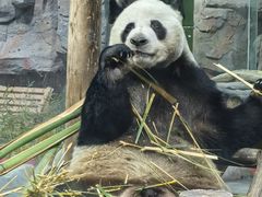 -栾川竹海野生动物园