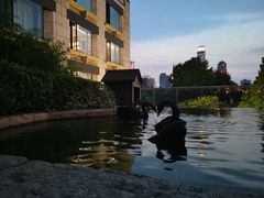 -行者书屋大堂吧 ·下午茶(南京圣和府邸酒店)