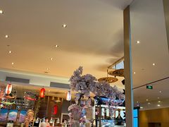 -视界美食自助餐厅·石家庄希尔顿酒店