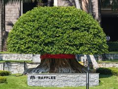 -海南清水湾莱佛士酒店