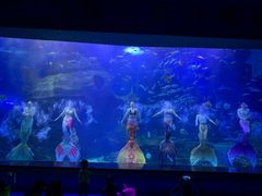 -多彩贵州城极地海洋世界