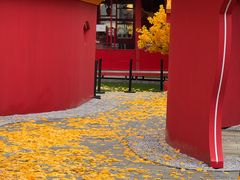 -龙湖杭州滨江天街