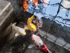 -天津海河悦榕庄·Lobby Lounge大堂吧