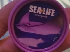 -沈阳海洋探索中心