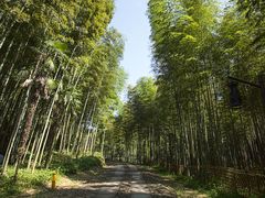 -黄公望隐居地