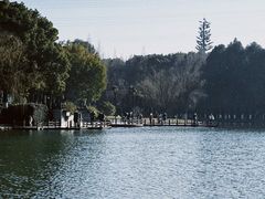 -新洲生态园