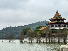 -顺峰山公园