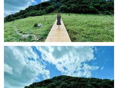 -白草畔自然风景区